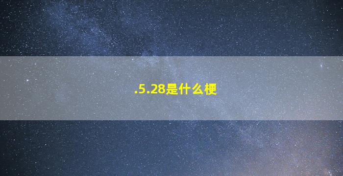 .5.28是什么梗