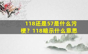 118还是57是什么污梗？118暗示什么意思