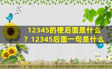 12345的梗后面是什么？12345后面一句是什么