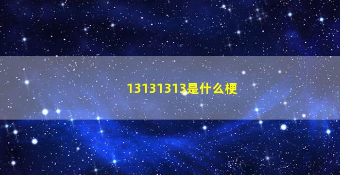 13131313是什么梗