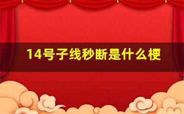 14号子线秒断是什么梗