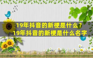 19年抖音的新梗是什么？19年抖音的新梗是什么名字