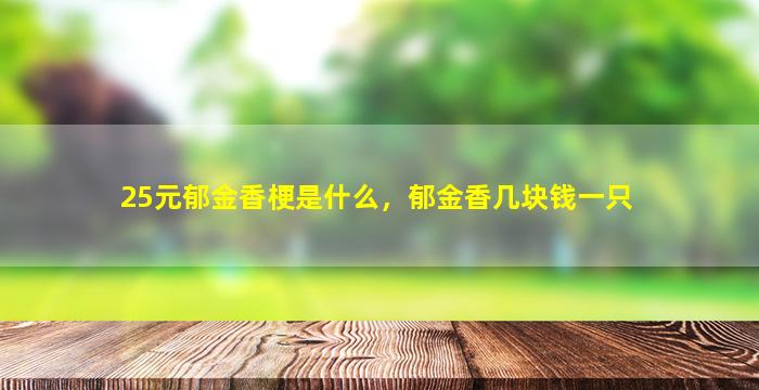 25元郁金香梗是什么，郁金香几块钱一只