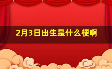 2月3日出生是什么梗啊