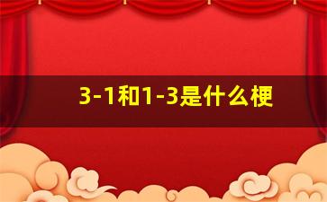 3-1和1-3是什么梗