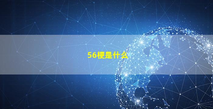 56梗是什么