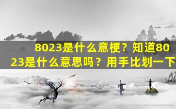 8023是什么意梗？知道8023是什么意思吗？用手比划一下