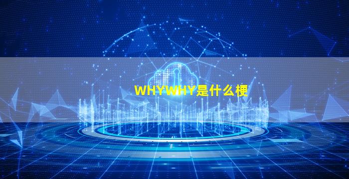 WHYWHY是什么梗