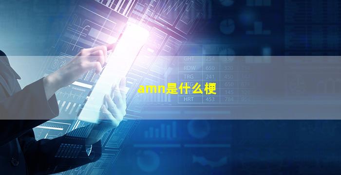 amn是什么梗