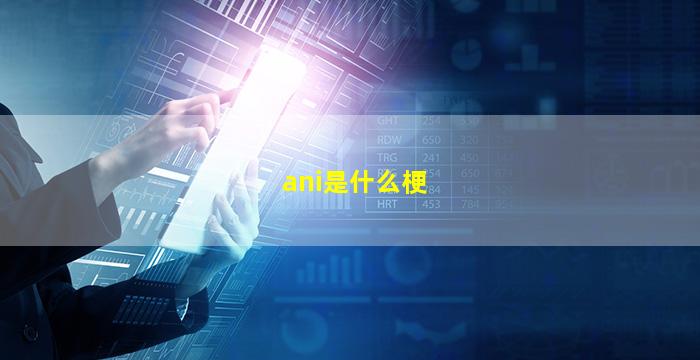 ani是什么梗