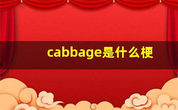 cabbage是什么梗