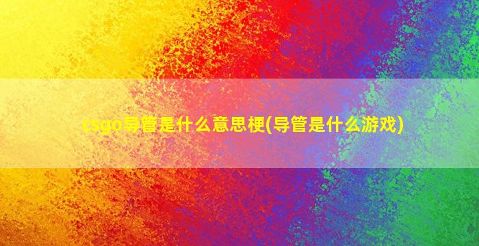 csgo导管是什么意思梗(导管是什么游戏)