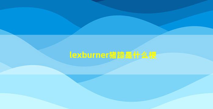 lexburner猪蹄是什么梗