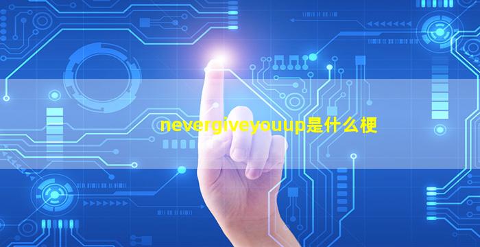 nevergiveyouup是什么梗