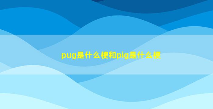 pug是什么梗和pig是什么梗