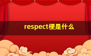 respect梗是什么