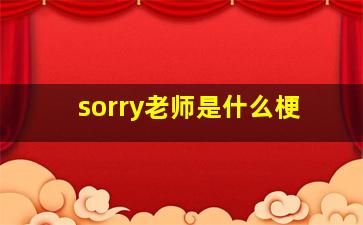 sorry老师是什么梗