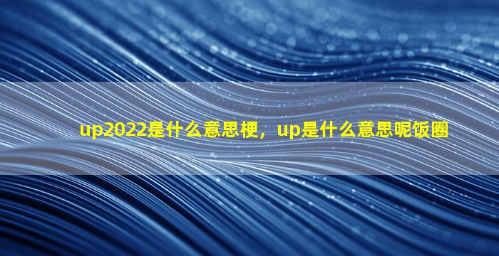 up2022是什么意思梗，up是什么意思呢饭圈