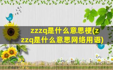 zzzq是什么意思梗(zzzq是什么意思网络用语)