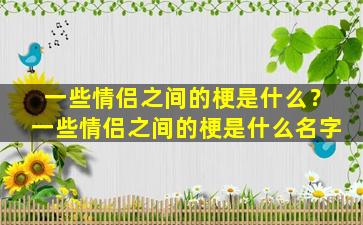 一些情侣之间的梗是什么？一些情侣之间的梗是什么名字