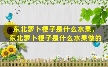 东北萝卜梗子是什么水果，东北萝卜梗子是什么水果做的