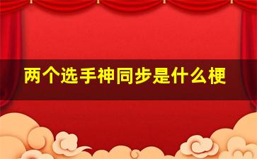 两个选手神同步是什么梗