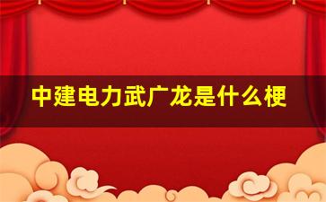 中建电力武广龙是什么梗