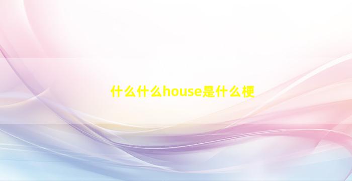 什么什么house是什么梗