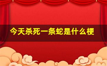 今天杀死一条蛇是什么梗