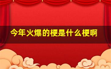 今年火爆的梗是什么梗啊