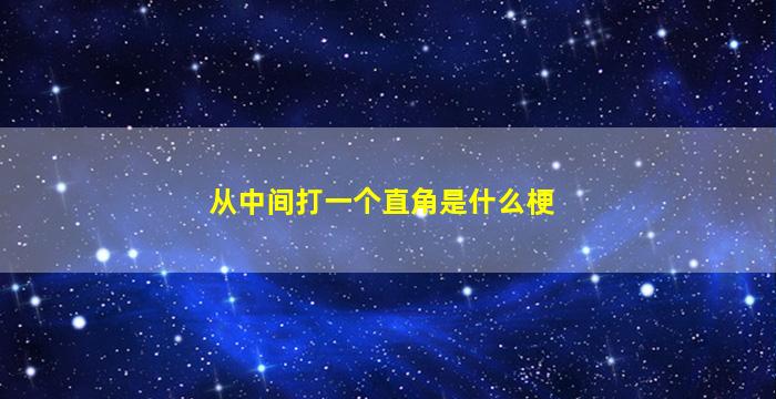 从中间打一个直角是什么梗