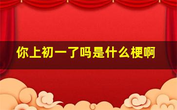 你上初一了吗是什么梗啊