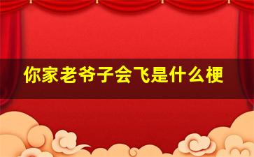 你家老爷子会飞是什么梗