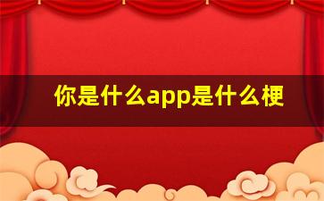 你是什么app是什么梗