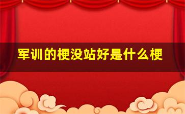 军训的梗没站好是什么梗