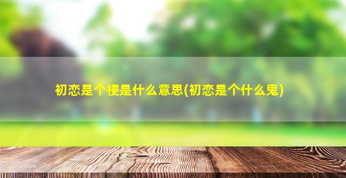 初恋是个梗是什么意思(初恋是个什么鬼)