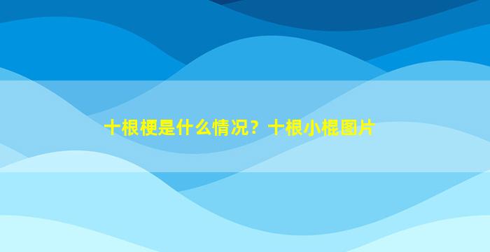 十根梗是什么情况？十根小棍图片