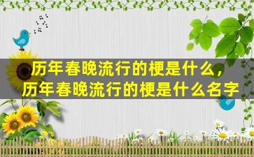 历年春晚流行的梗是什么，历年春晚流行的梗是什么名字