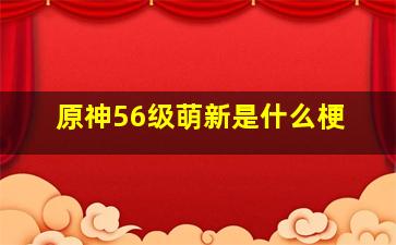 原神56级萌新是什么梗