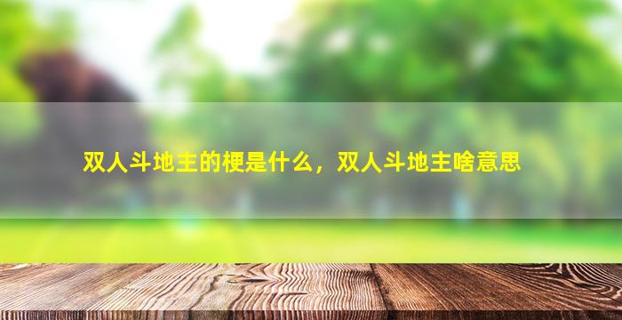 双人斗地主的梗是什么，双人斗地主啥意思