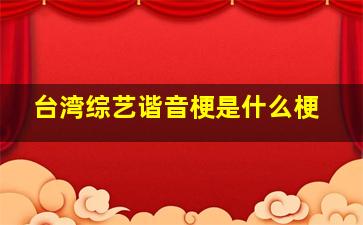 台湾综艺谐音梗是什么梗