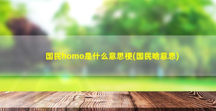 国民homo是什么意思梗(国民啥意思)