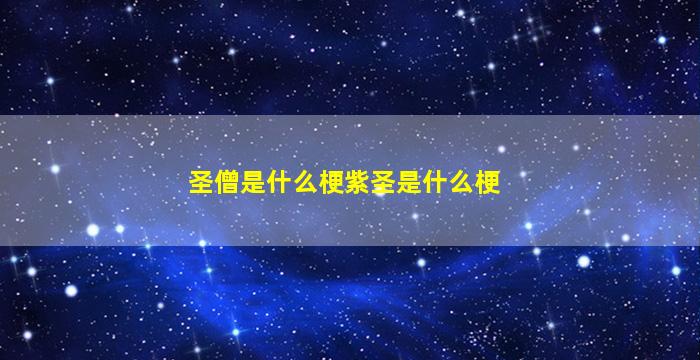 圣僧是什么梗紫圣是什么梗