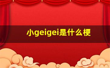 小geigei是什么梗