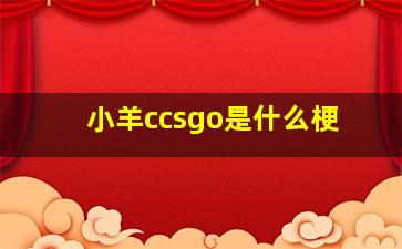 小羊ccsgo是什么梗