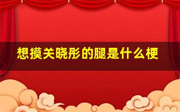 想摸关晓彤的腿是什么梗