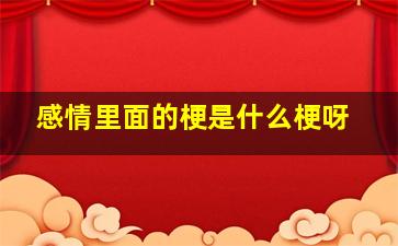 感情里面的梗是什么梗呀