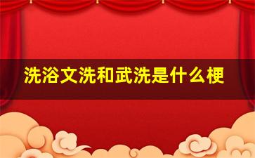 洗浴文洗和武洗是什么梗