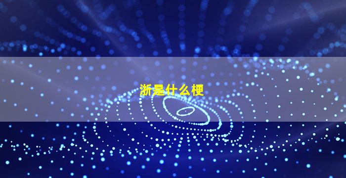 浙是什么梗