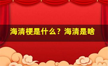 海清梗是什么？海清是啥